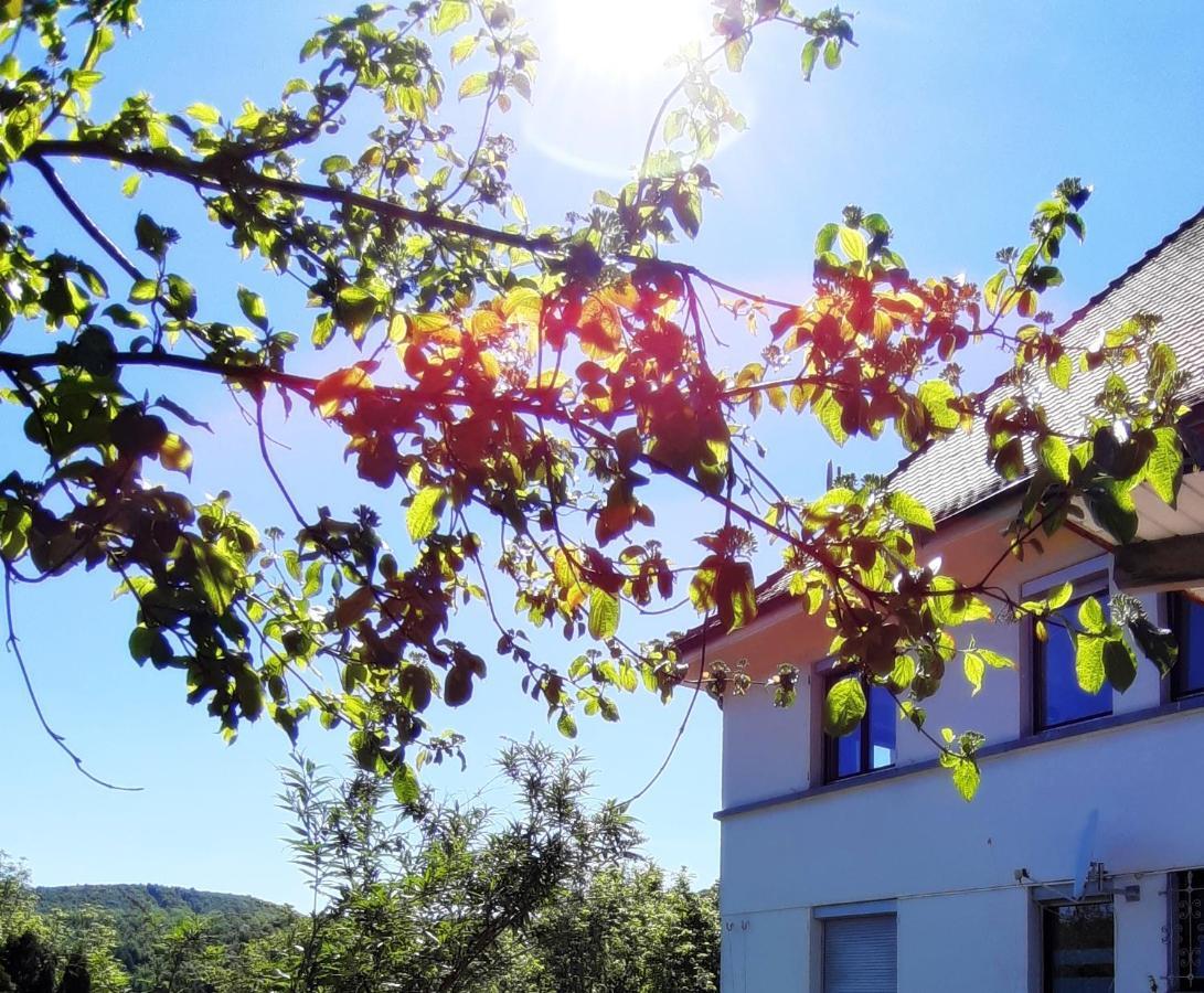 Ferienwohnung Albstadt Panorama 외부 사진